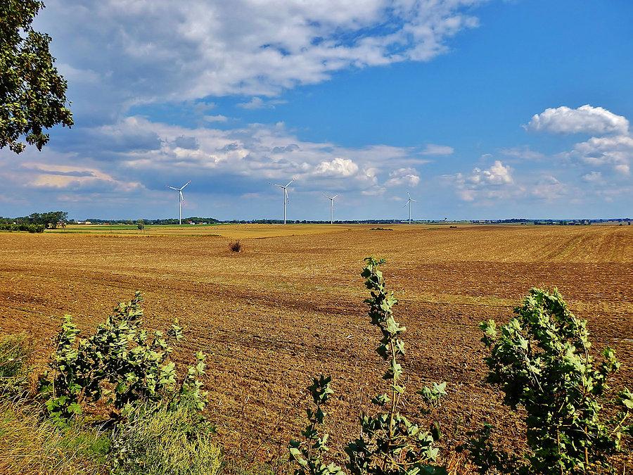 Na trasie wycieczki - uroki natury