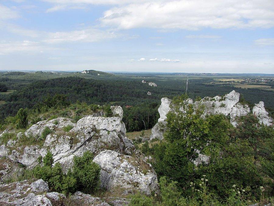 Widok z góry
