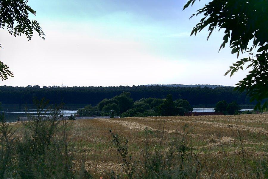 Jezioro Dobrylewskie