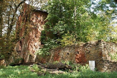 Ruiny młyna w Waglanach