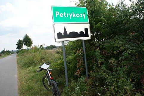 W Petrykozach