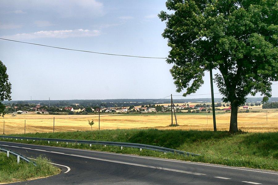 Widok na Gąsawę z pod pomnika Leszka Białego