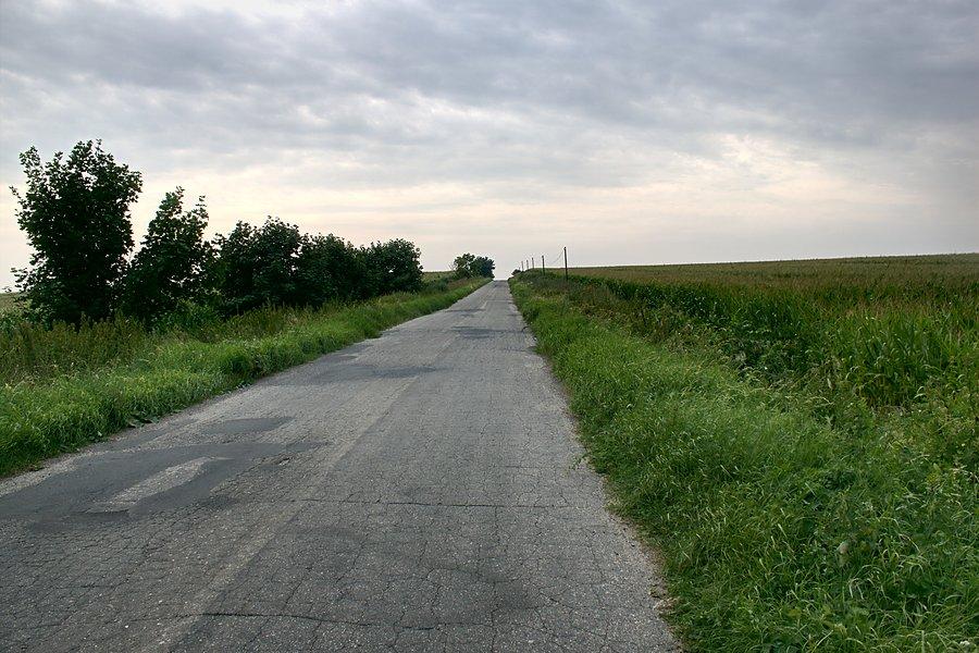 Droga do Marcinkowa Górnego z miejsca śmierci Leszka Białego