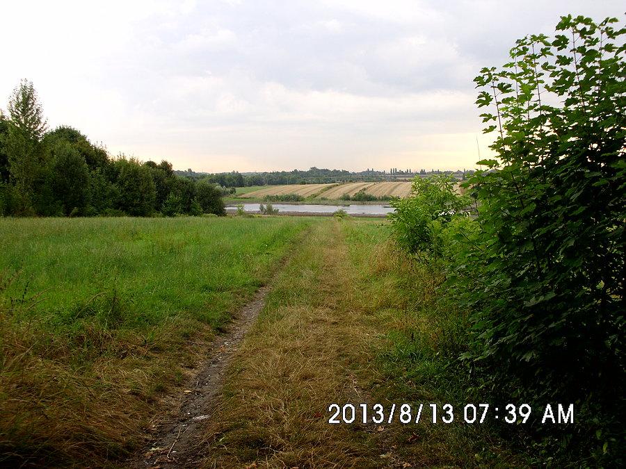 Pomiędzy Miechowicami a Karbiem - staw Brantka