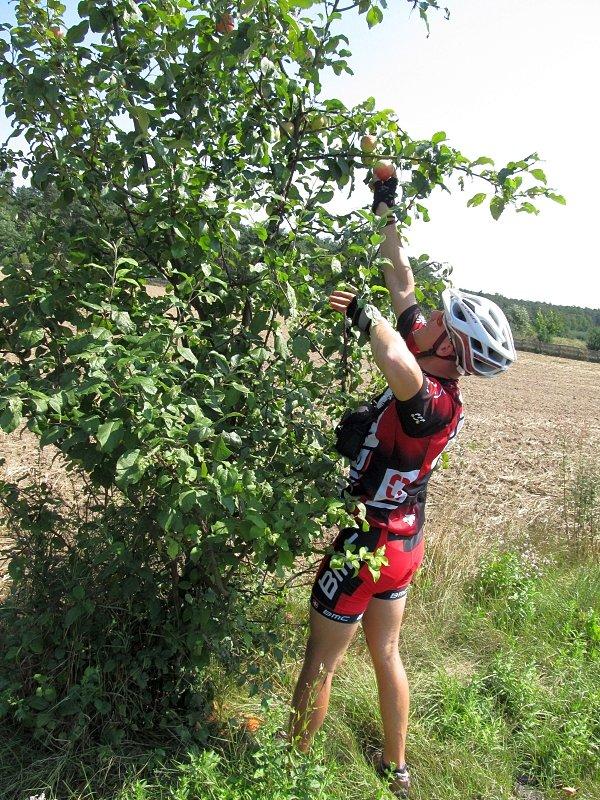 Darmowego, jabłkowego co nieco też nie brakowało po drodze