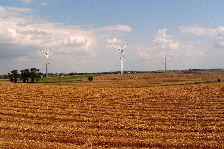 Kociewski krajobraz