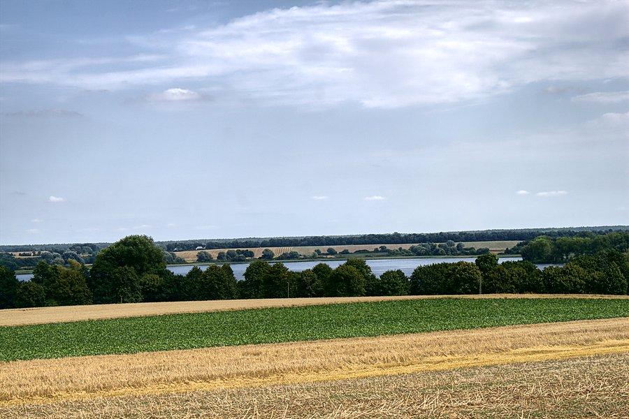 Widok z góry na Jezioro Biskupińskie