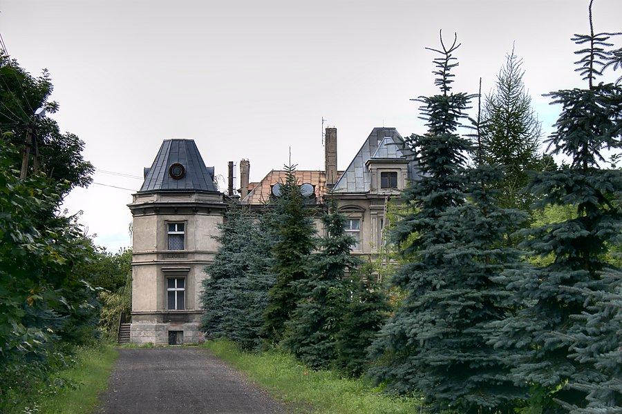 Pałac eklektyczny w Cerekwicy z elementami renesansu francuskiego, nawiązujący stylem do podparyskich willi budowanych w stylu XVII - wiecznego architekta Francoisa Mansar'ta