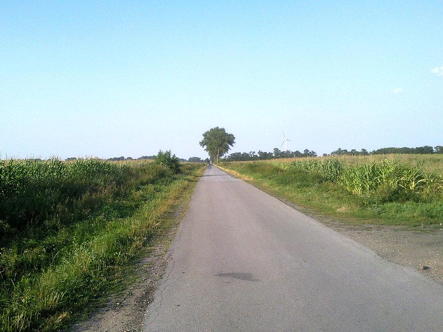 Widok w lewo