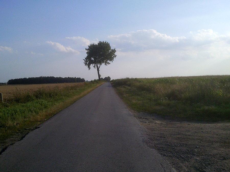 Widok w prawo. Różnicy nie ma
