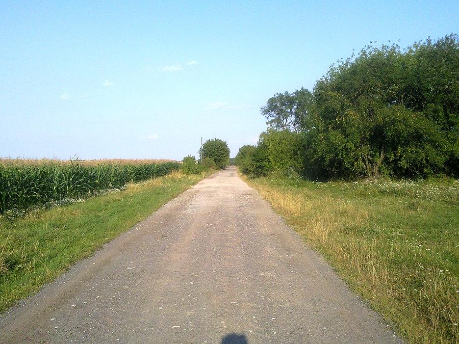 Bowyczyny i trochę terenu