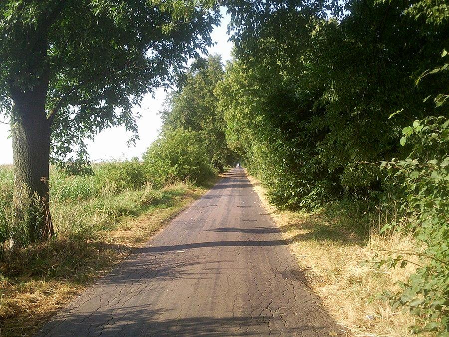 Droga na Kotków