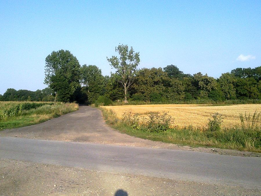 1700 m później