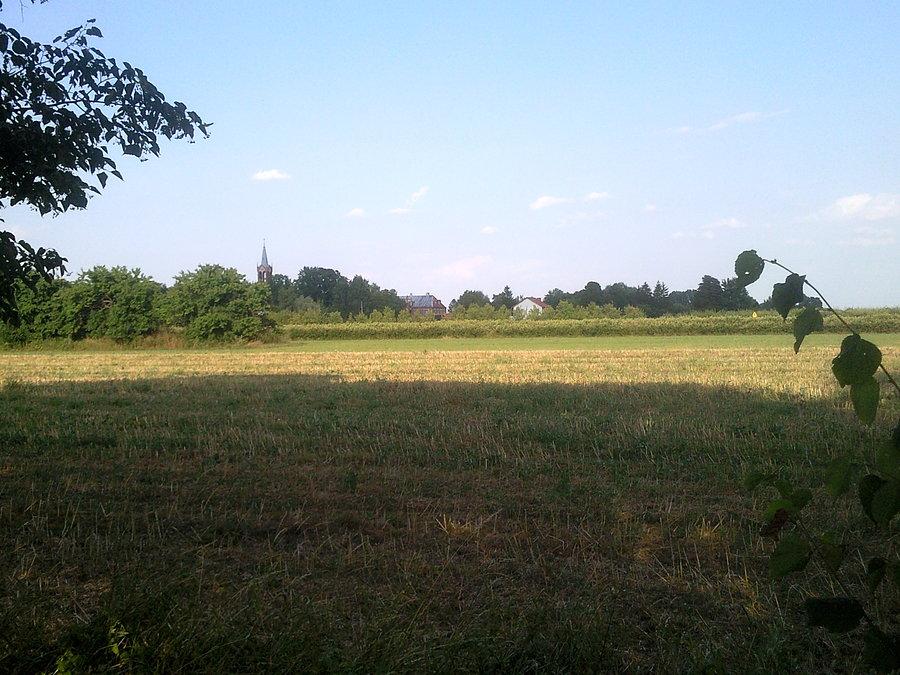 Pole a w tle kościół w Nowej Sobótce