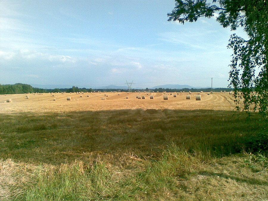 Już po żniwach