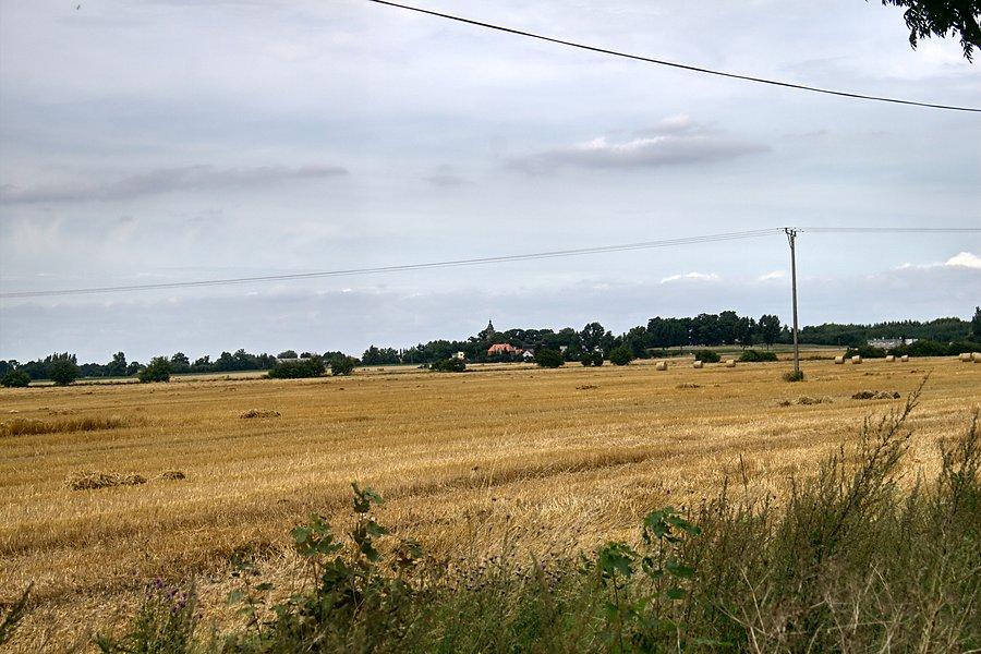 Na górce widoczna wieża kościoła w Gorzycach