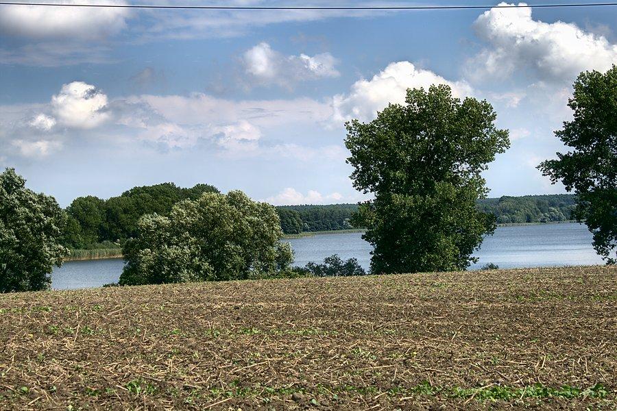 Jezioro Gąsawskie