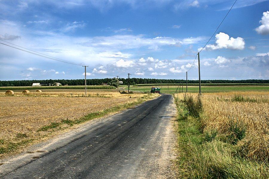 I w stronę lasu za Godawami