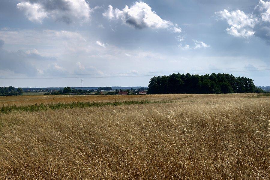 Pałuckie krajobrazy
