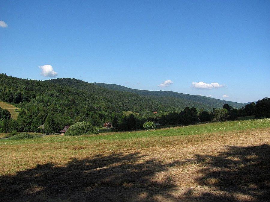 Nad Pętną, Magura Małastowska w tle