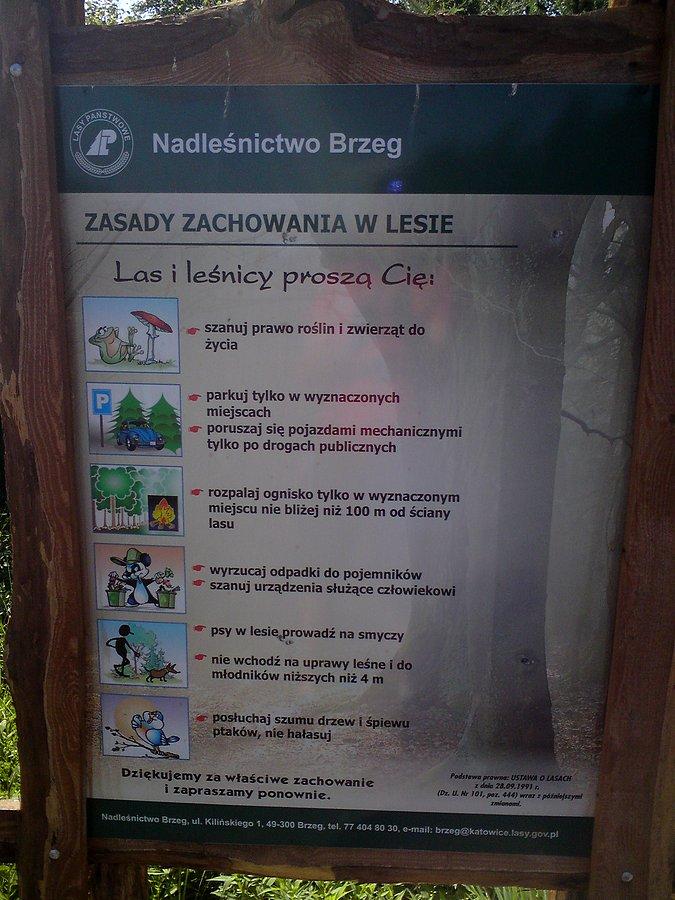 Na Białej Drodze