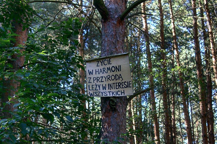 W pełni to hasło popieram