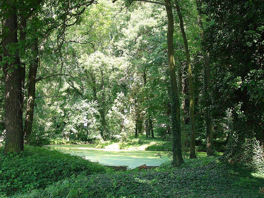 Radwanice. Pełen tajemnic park