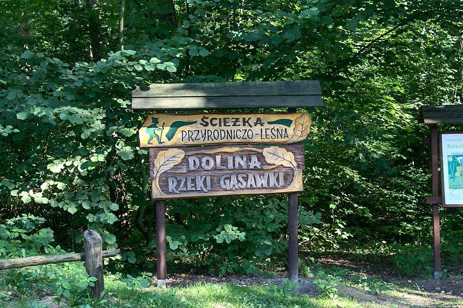 Nowa ścieżka przyrodnicza