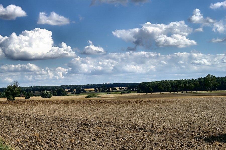 Pałuckie krajobrazy