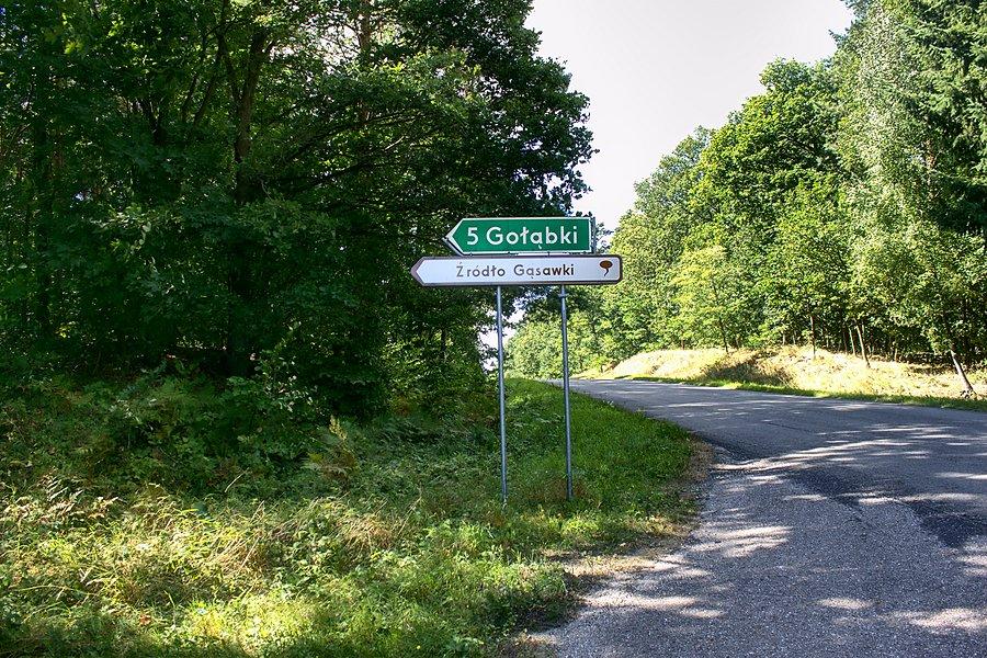 Drogowskaz do źródła Gąsawki