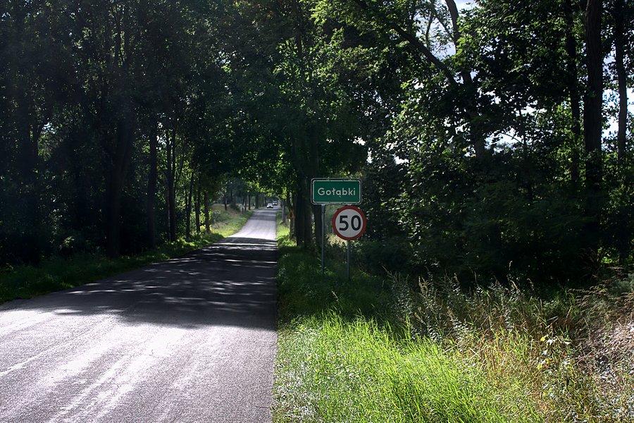 W drodze do Gołąbek
