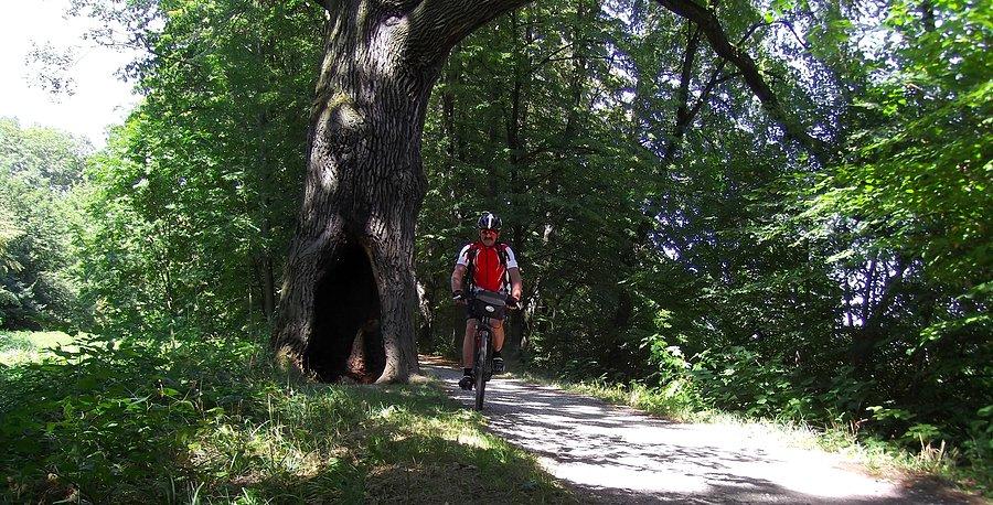 Na ścieżce rowerowej z Dolni Benesova do Jilešovic