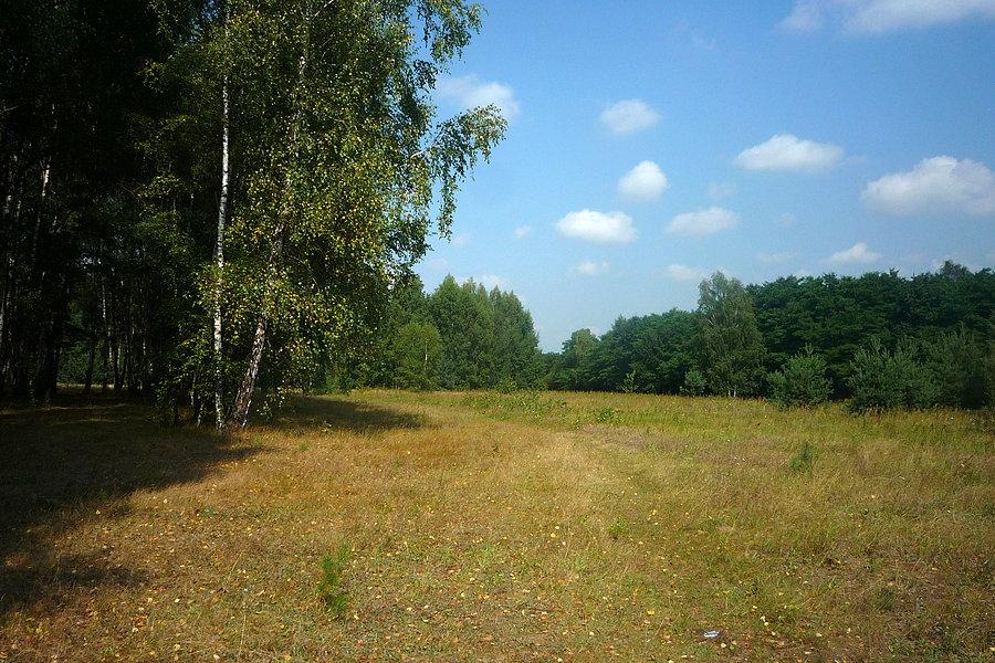 Okolice Żółwina