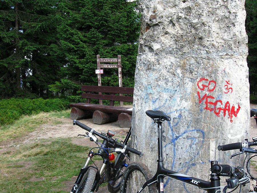 Na Turbaczu- 1310 m