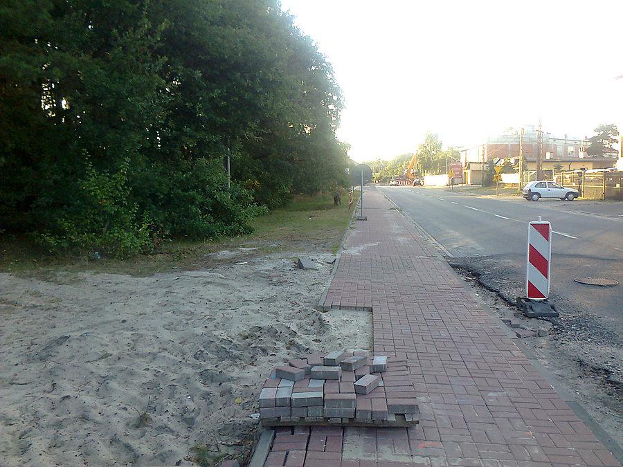 Dzik w Legionowie