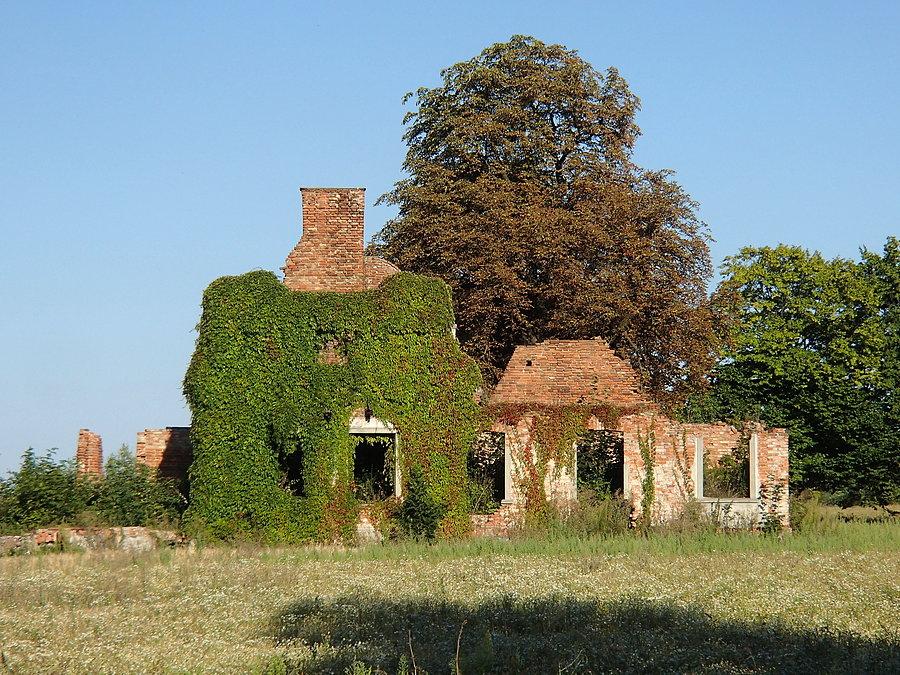 Zarośnięte ruiny niedaleko Klukowa