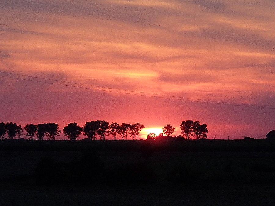 Czerwony zachód słońca nad pojedyńczymi drzewami