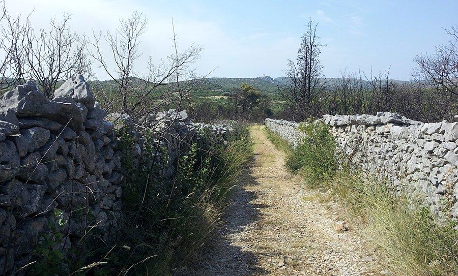 Ścieżka