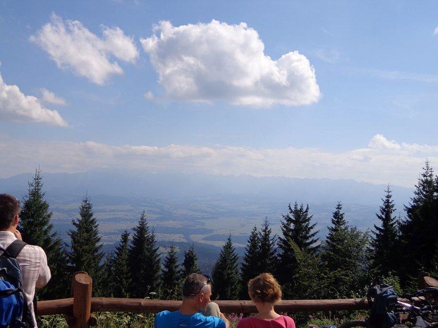 Turbacz..Gorce 1310 m n.p.m