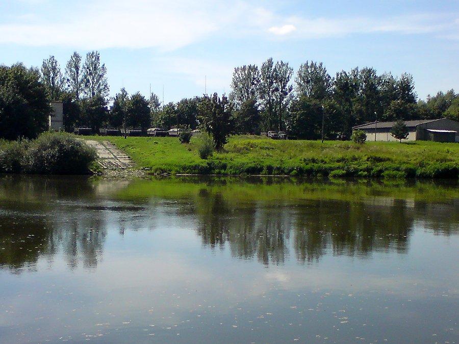 Amfibie w Brzegu