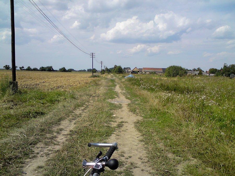 Polniaki w Kościerzycach