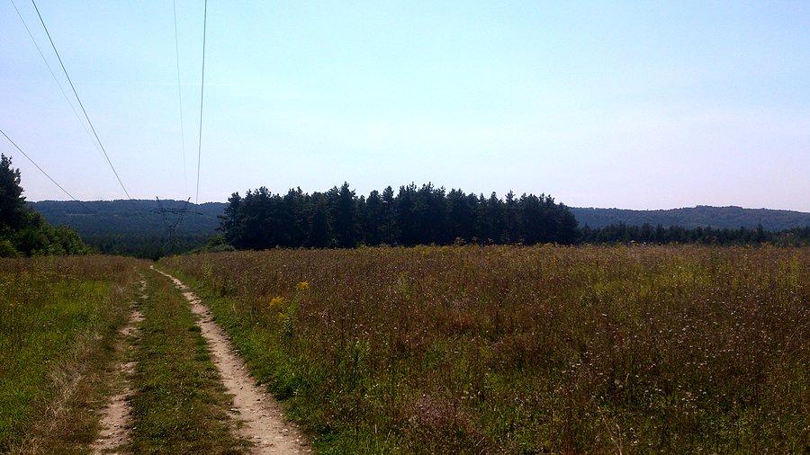 Widoczek w drodze z Ogrodzieńca