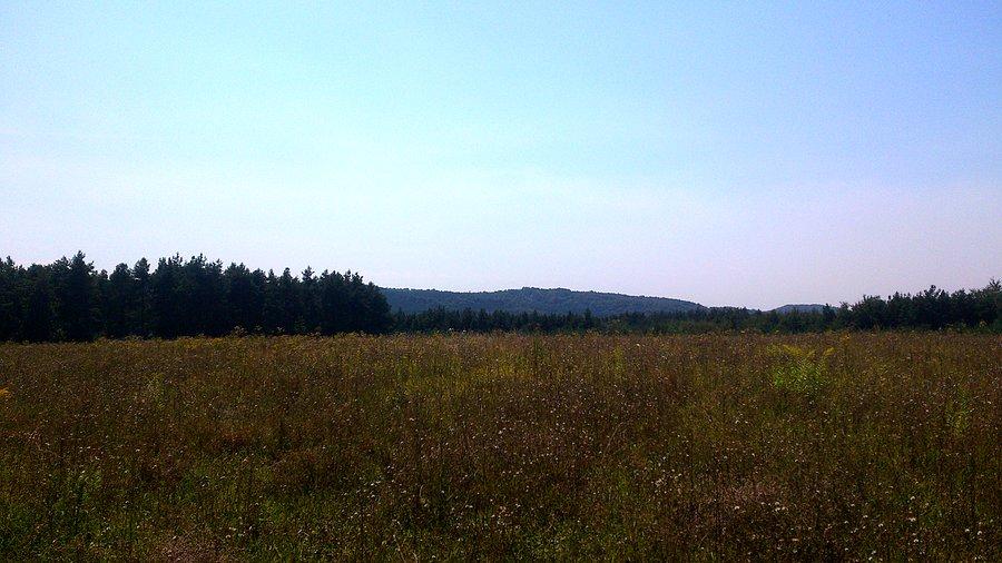 Inna perspektywa