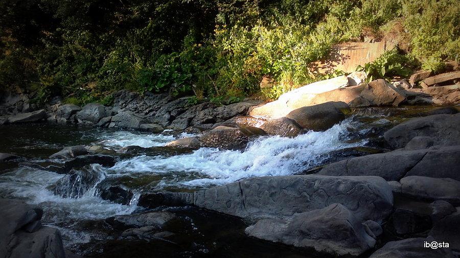 Rezerwat Sine Wiry - przełomowy odcinek rzeki Wetliny
