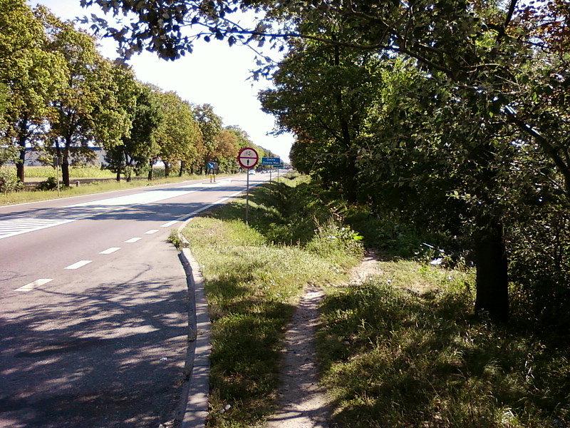 Terenowa ścieżka rowerowa