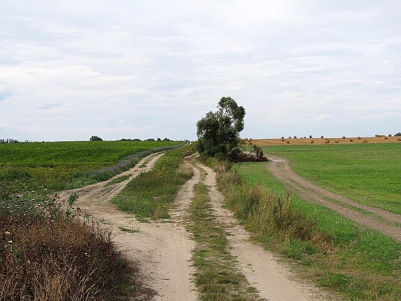 Polna 3 pasmówka