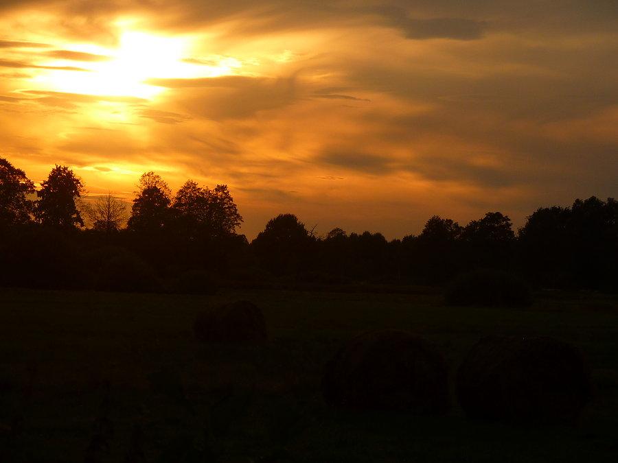 Niebo nad Nową Dąbrową