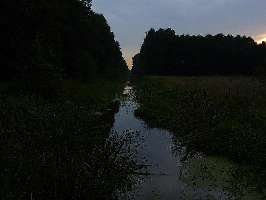 Kanał Łasica