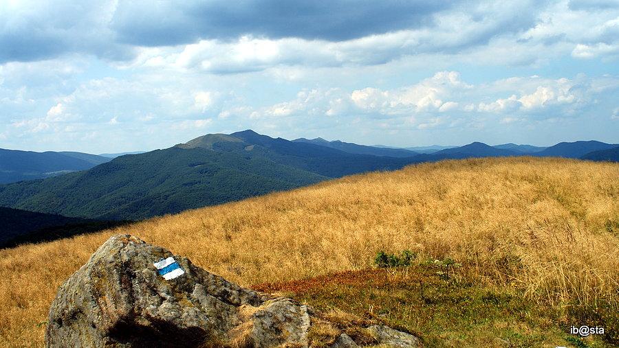 Widok na połoniny w tle Caryńska i Wetlińska