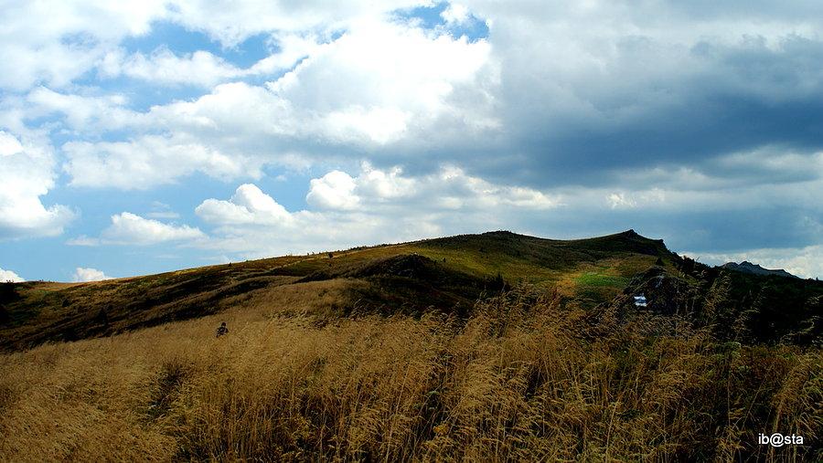 Noibasta buszujący w trawie ;) widok na pasmo Bukowego Berda